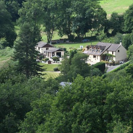 Ty Twt - Complete Holiday Home Llandysul Dış mekan fotoğraf