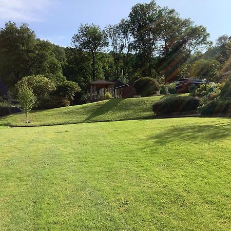Ty Twt - Complete Holiday Home Llandysul Dış mekan fotoğraf