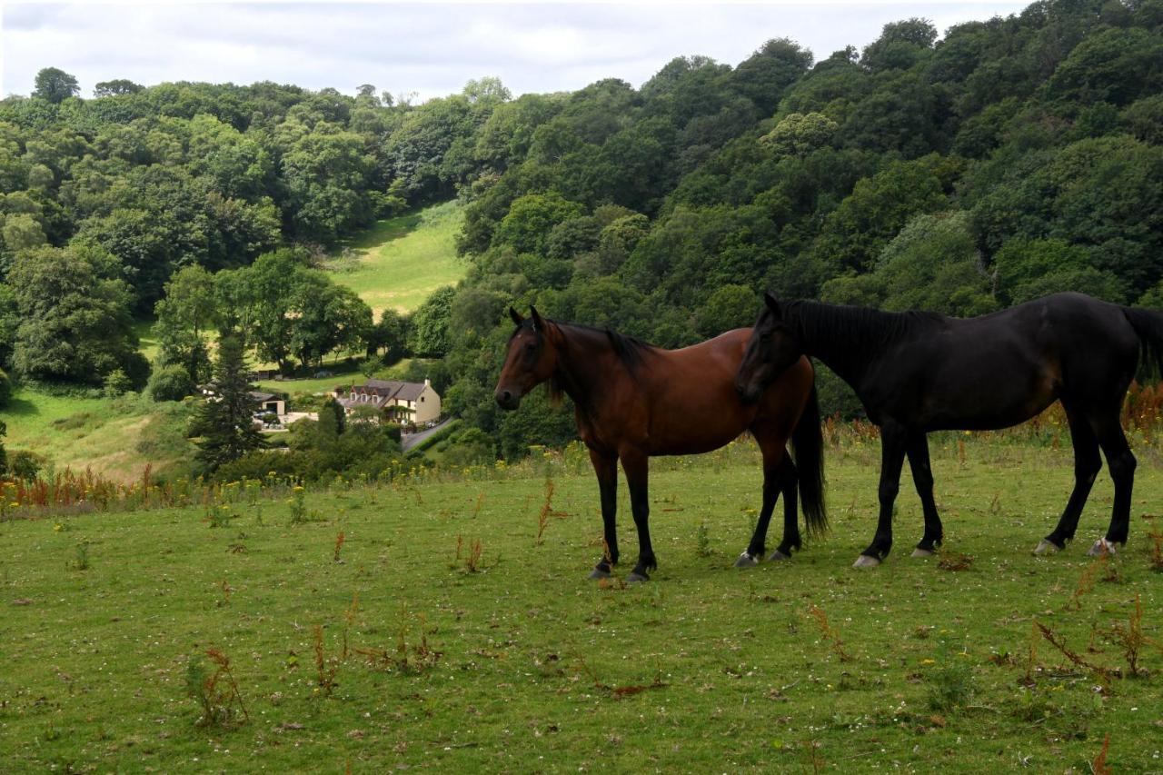 Ty Twt - Complete Holiday Home Llandysul Dış mekan fotoğraf