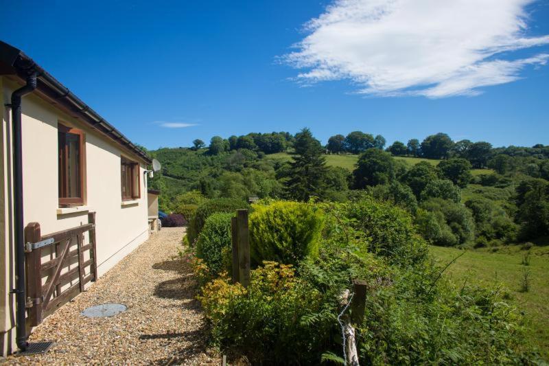Ty Twt - Complete Holiday Home Llandysul Dış mekan fotoğraf