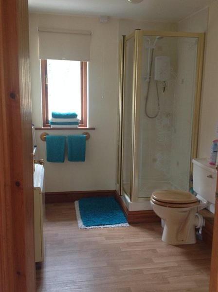 Ty Twt - Complete Holiday Home Llandysul Dış mekan fotoğraf